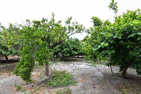 Finca i Motril, Granada, Motril - € 268.000 | Ref: 246 - foto 13